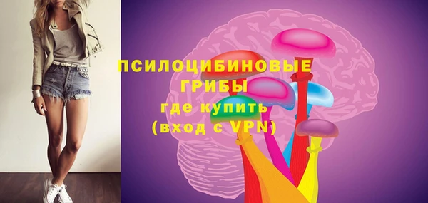 гашик Осташков