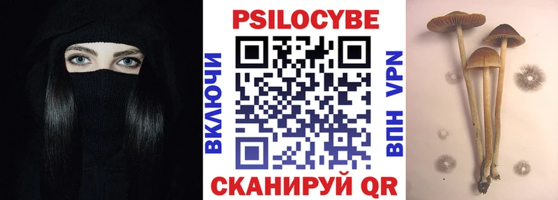 Галлюциногенные грибы Psilocybine cubensis  дарнет шоп  дарк нет состав  Чайковский 